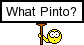 Pinto? :pinto: